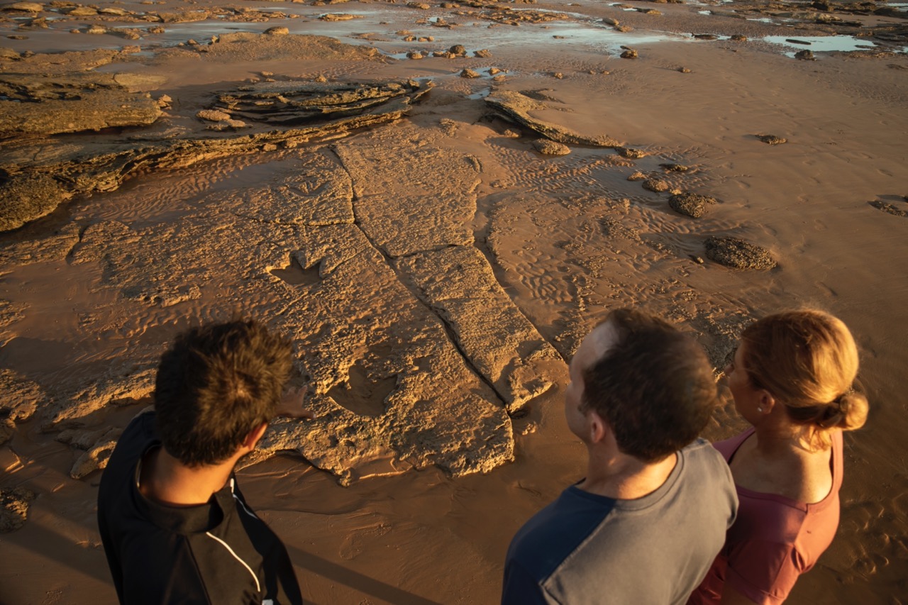 Tour zu Dinosaurier Fussabdruecken am Gantheaume Point, Broome