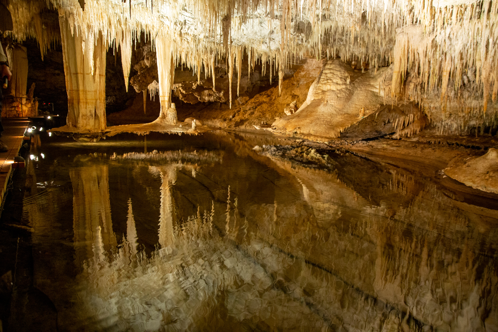 Spiegelung der Stalaktiten im Wasser der Lake Cave, Margaret River, Western Australia