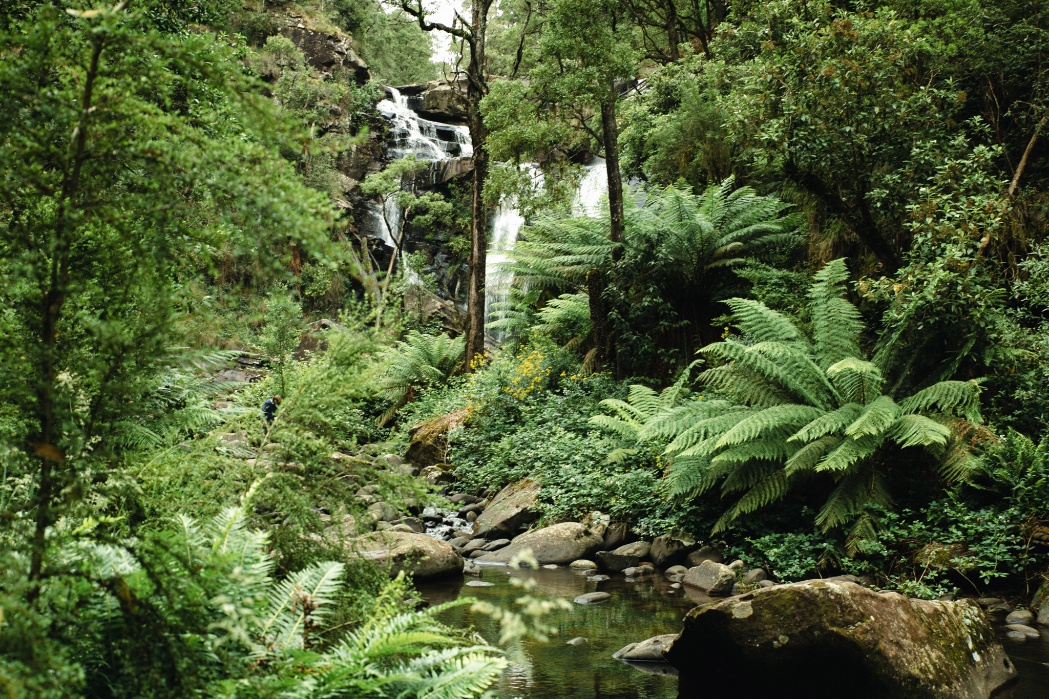 Wasserfall im dichten Regenwald, Victoria