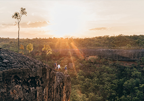 Jarramali Rock Art Tours Cape York Queensland