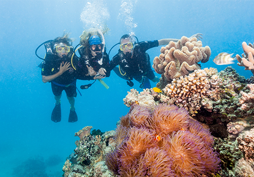 Tauchausflug zum Great Barrier Reef, Cairns und tropischer Norden