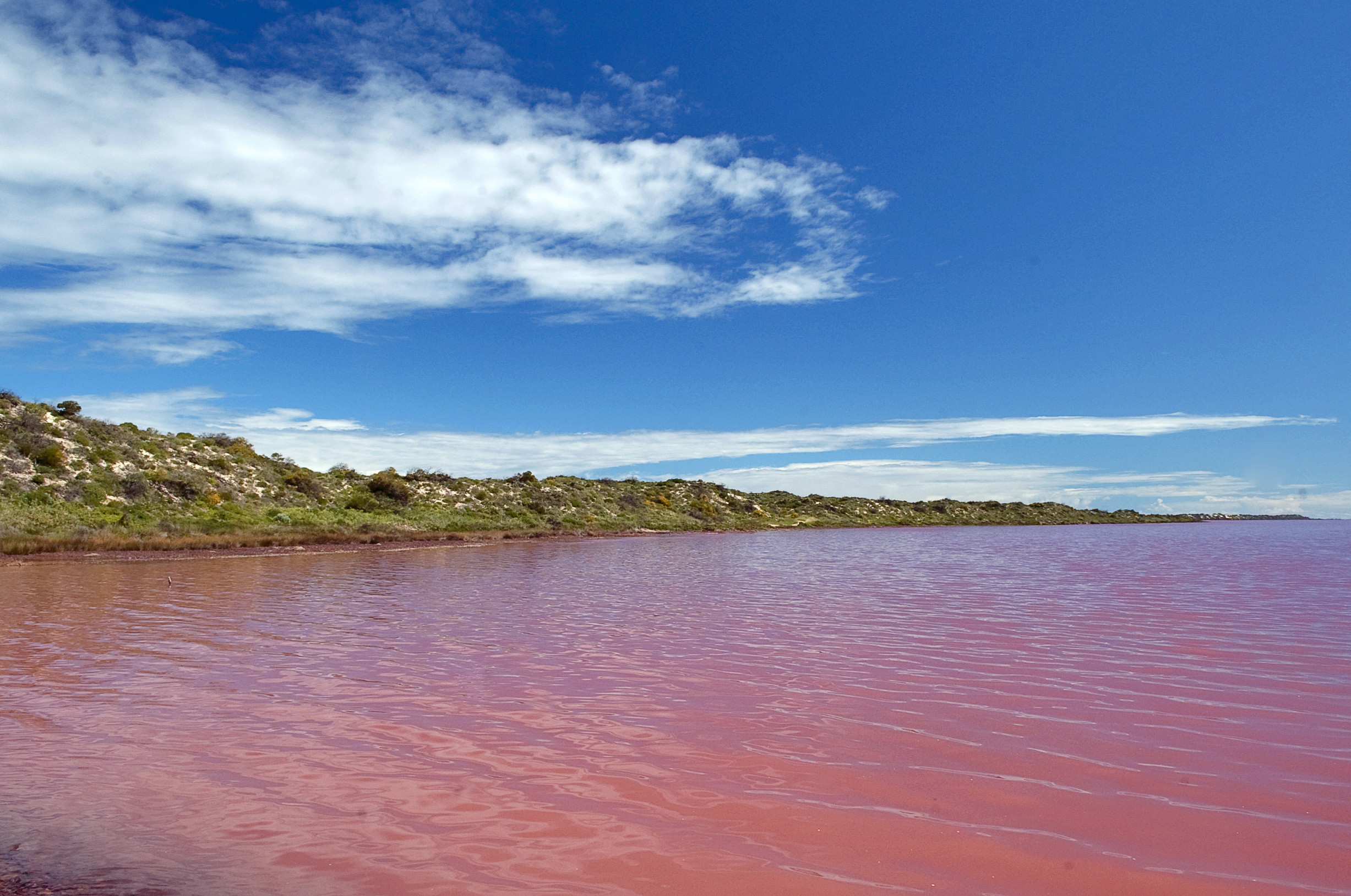 Hutt Lagoon Pink Lake, Korallenküste, Westaustralien 