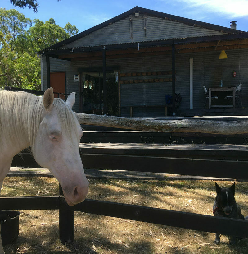 Wongaburra Farmstay, Pferderanch, Grampians 